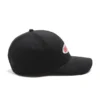 Classic Dad Hat