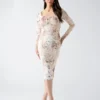 Eco Holly Printed Mesh Dress