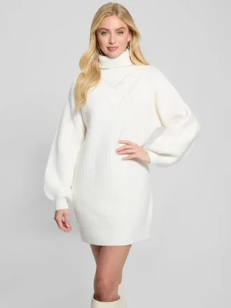 Eco Katie Turtleneck Sweater Dress