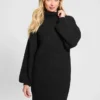 Eco Katie Turtleneck Sweater Dress