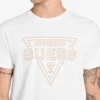 Eco Painted Triangle Tee
