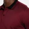 Eco Paul Guess Collar Polo