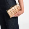 Emma Lucite Clutch