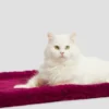 Faux-Fur Pet Carpet