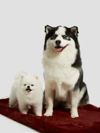 Faux-Fur Pet Carpet