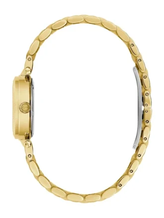 Gc Tiger’s Eye Gemstone Analog Watch