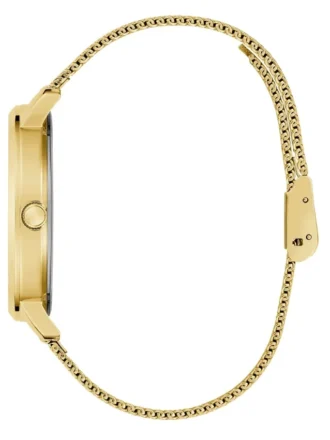 Gold-Tone Mesh Analog Watch