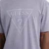 Guess Originals Eco Vintage Triangle Tee