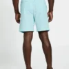 Linen Blend Shorts