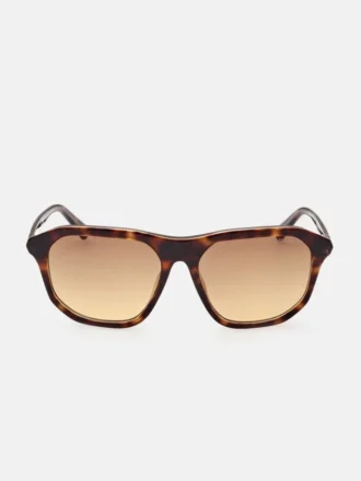 Plastic Navigator Sunglasses