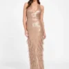 Raya Feathered Gown