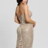 Serenity Embellished Dress