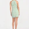 Sl Erin Crochet Dres