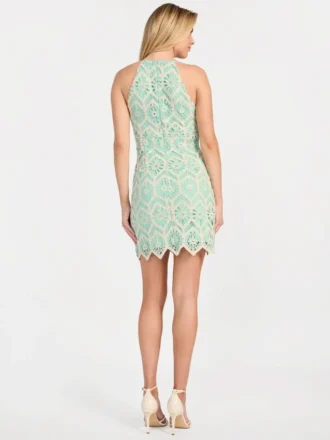 Sl Erin Crochet Dres