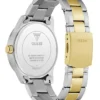 Two-Tone Analog Watch