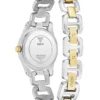 Two-Tone and Blue Analog Watch