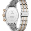 Two-Tone Multifunction Watch