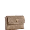 Zalina Mesh Clutch